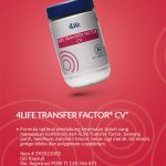 4life transfer factor cv